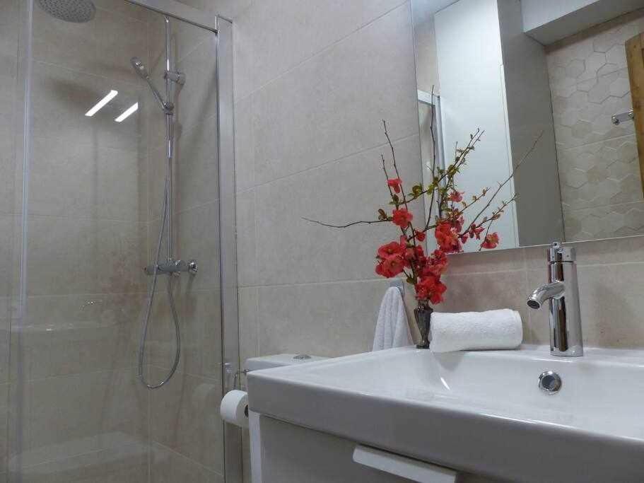 Apartamento Abside de San Juan II Estella Exterior foto